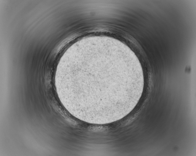 X0000112920826200910051105