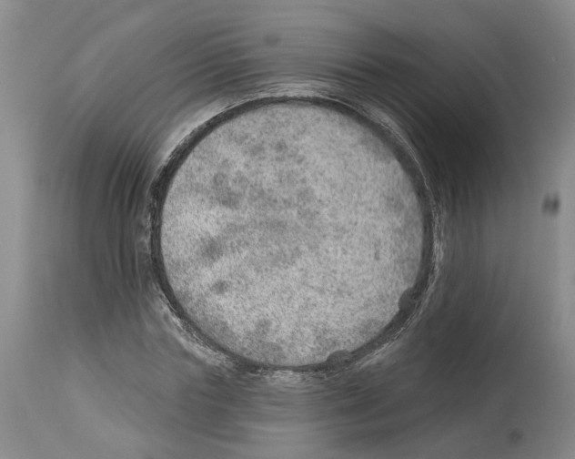 X0000112920827200910051105