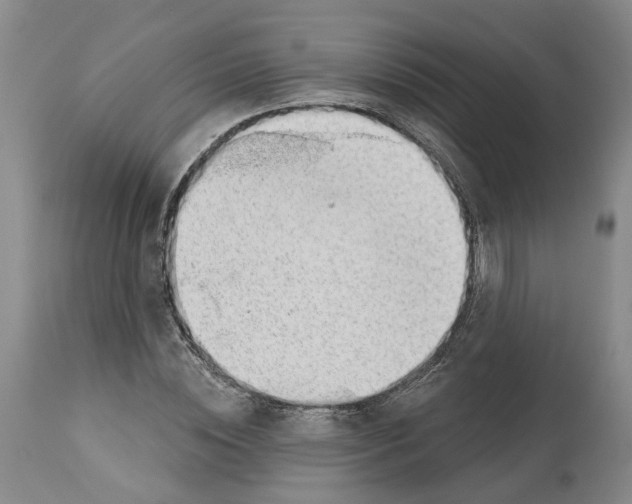 X0000112920828200910051105