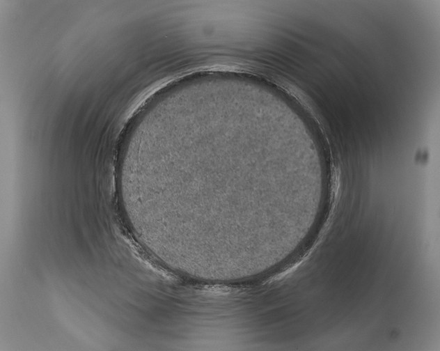 X0000112920829200910051106