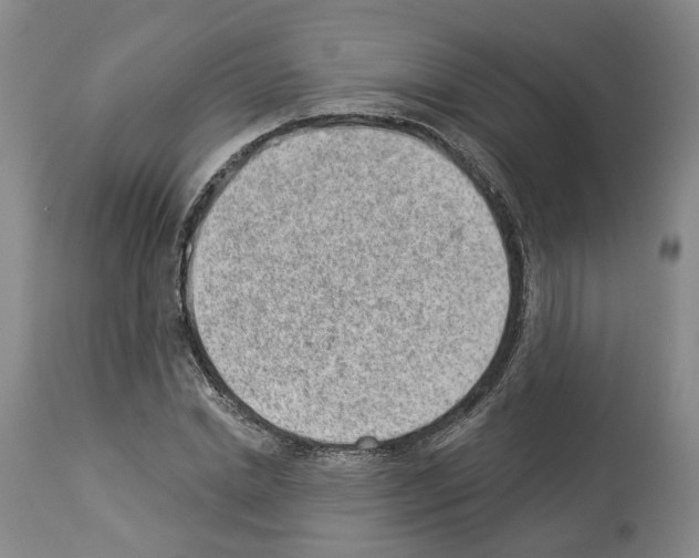X0000112920830200910051106
