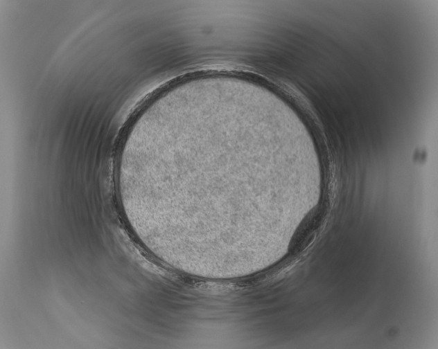 X0000112920831200910051106