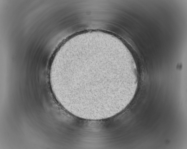 X0000112920832200910051106