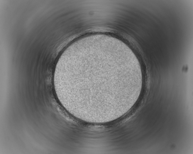 X0000112920833200910051106