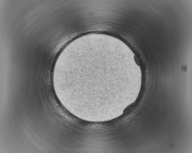 X0000112920834200910051106