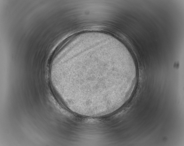 X0000112920835200910051106