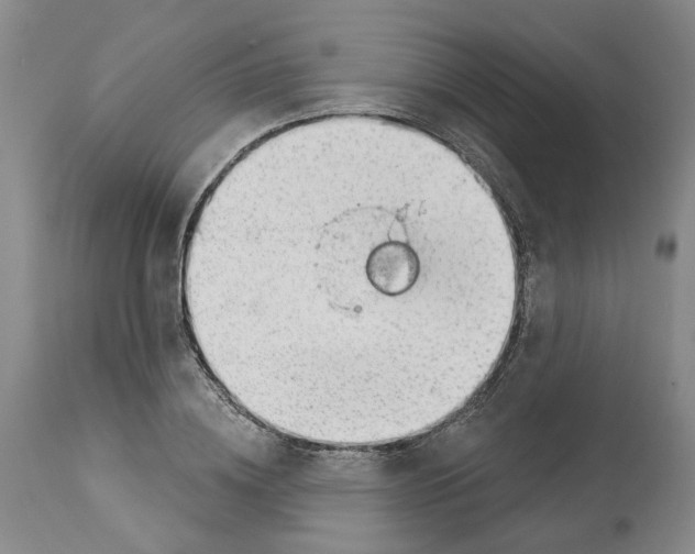 X0000112920836200910051106