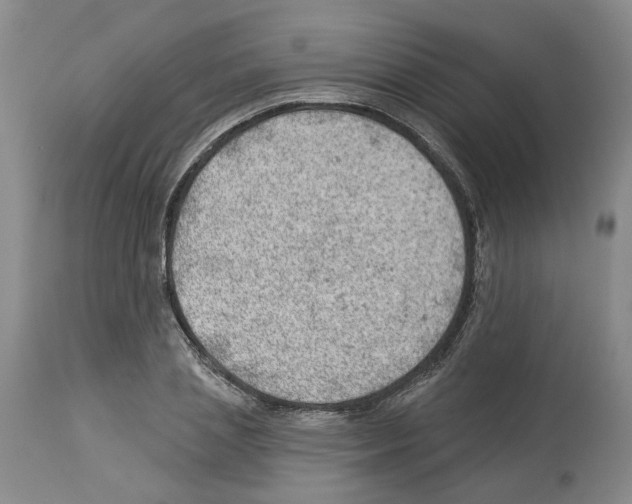 X0000112920837200910051106