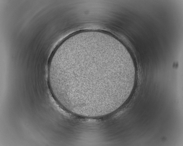 X0000112920839200910051106