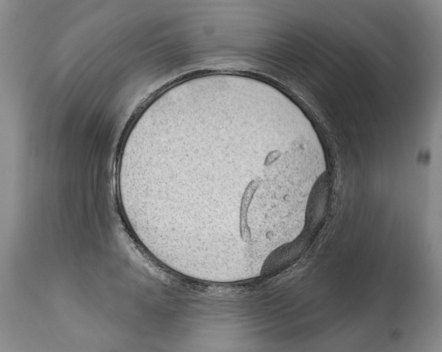X0000112920840200910051106