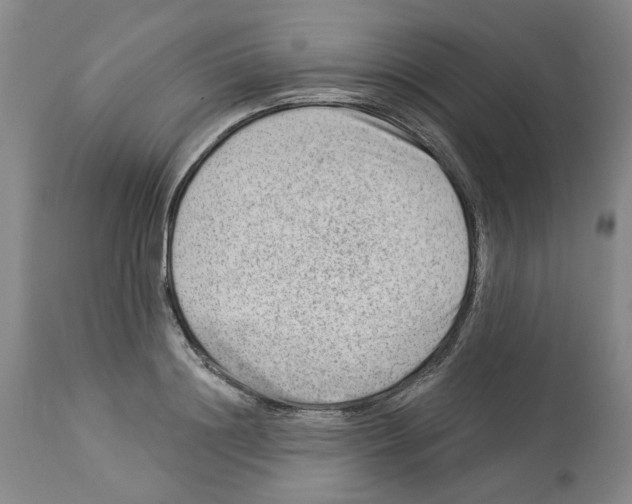 X0000112920844200910051106