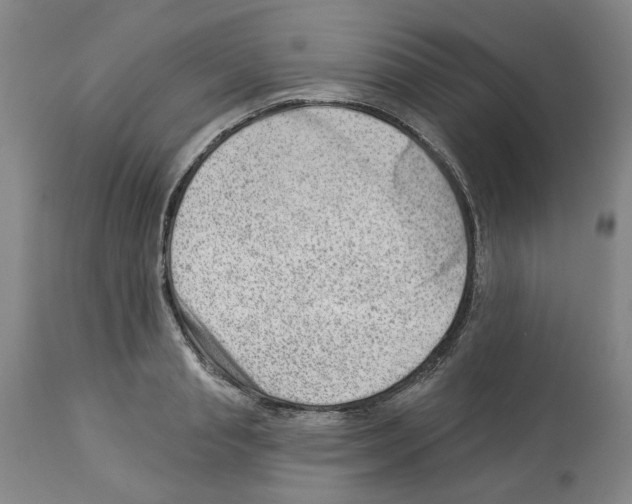 X0000112920845200910051106
