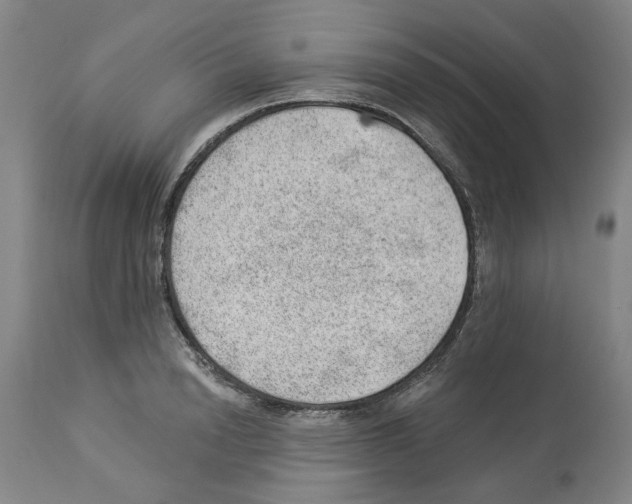 X0000112920846200910051106