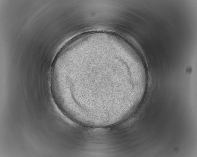 X0000112920847200910051106