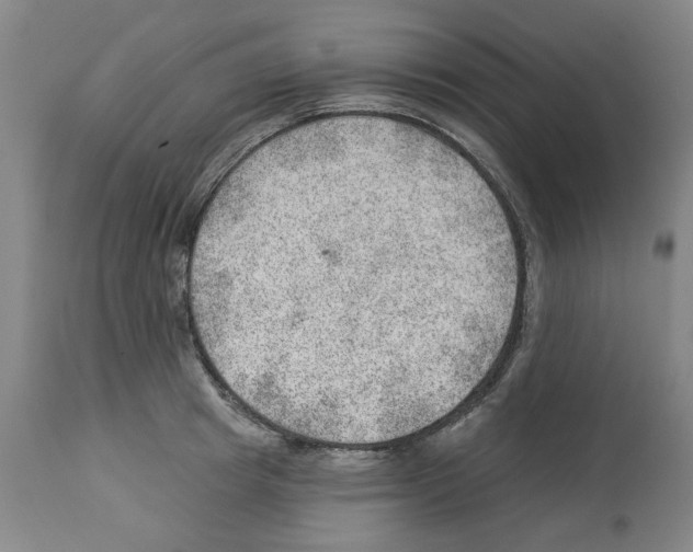 X0000112920849200910051106