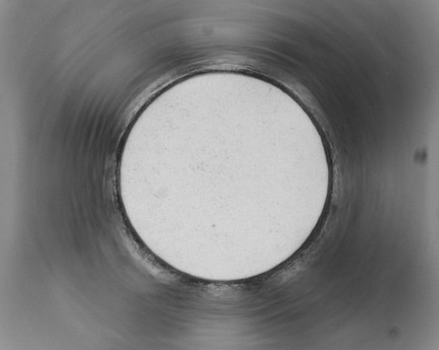 X0000112920850200910051106