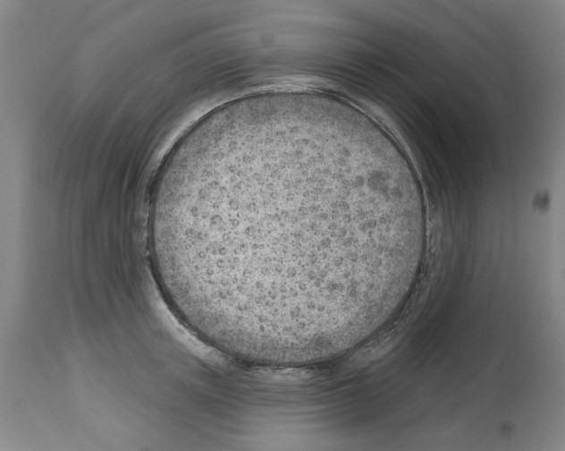 X0000112920851200910051106