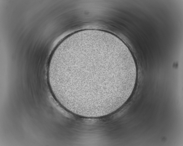 X0000112920854200910051106