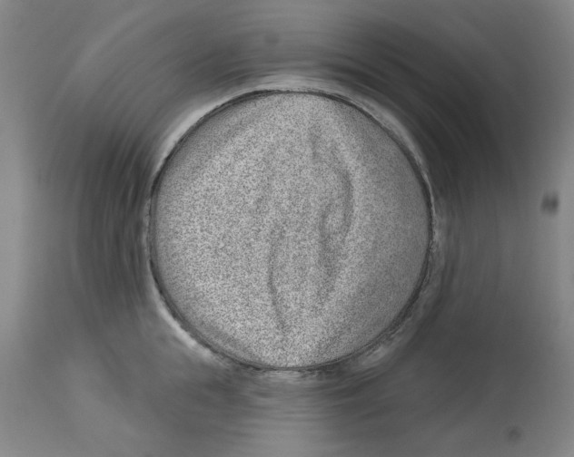 X0000112920855200910051106
