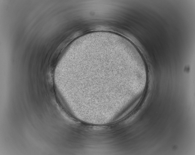 X0000112920857200910051106