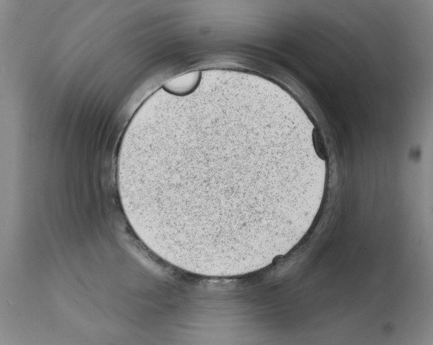 X0000112920858200910051106