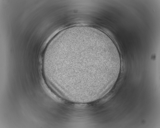 X0000112920859200910051106