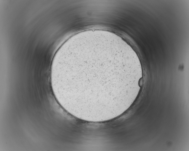 X0000112920860200910051106