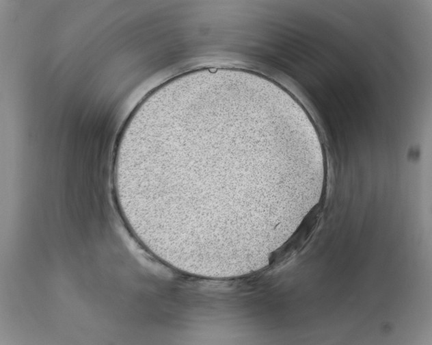 X0000112920861200910051106