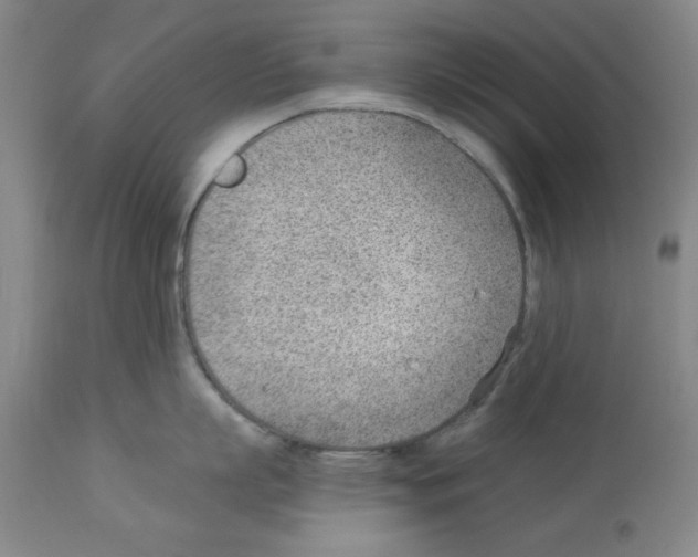 X0000112920863200910051106