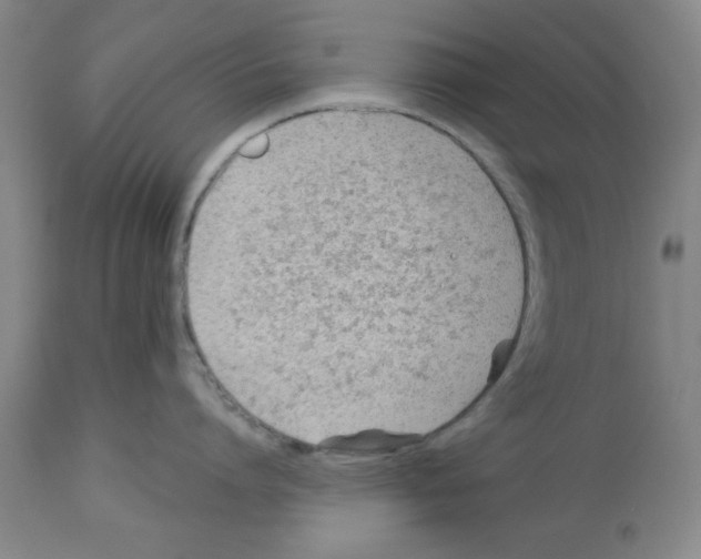 X0000112920864200910051106