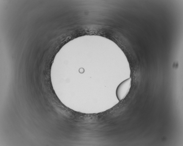 X0000112920865200910051105