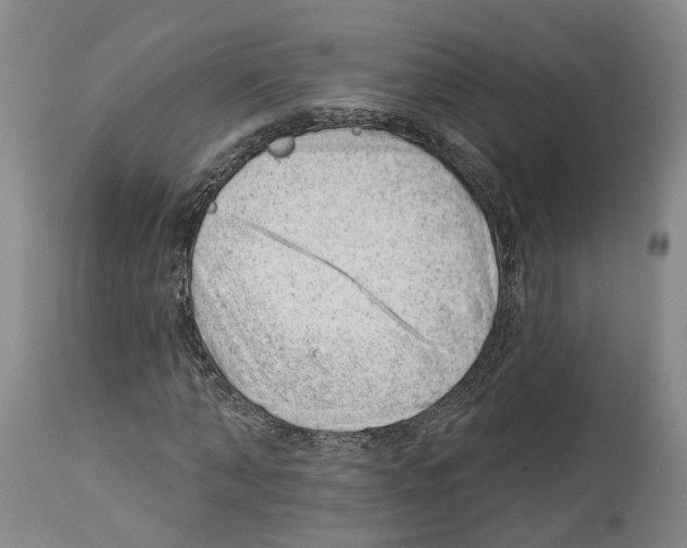 X0000112920870200910051105