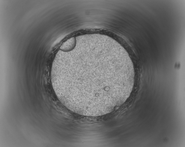 X0000112920871200910051105