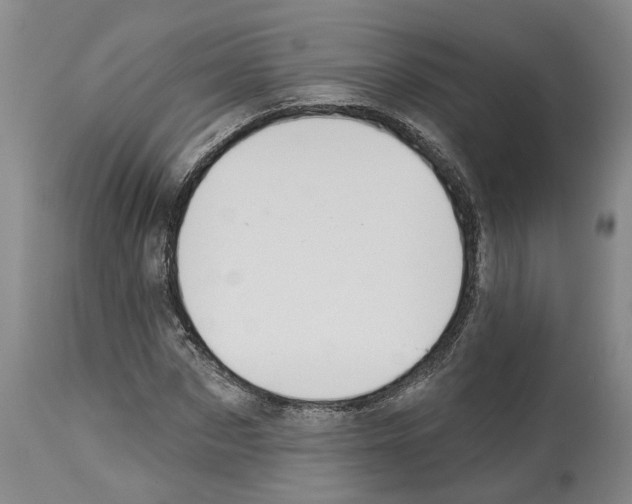X0000112920873200910051105