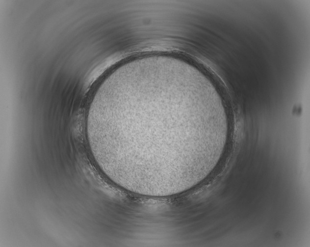 X0000112920874200910051105