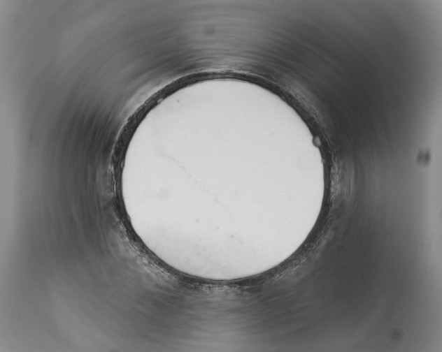 X0000112920876200910051105