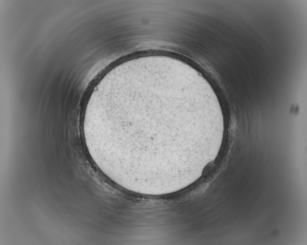 X0000112920877200910051105