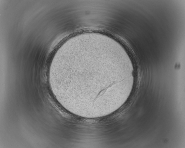 X0000112920878200910051105