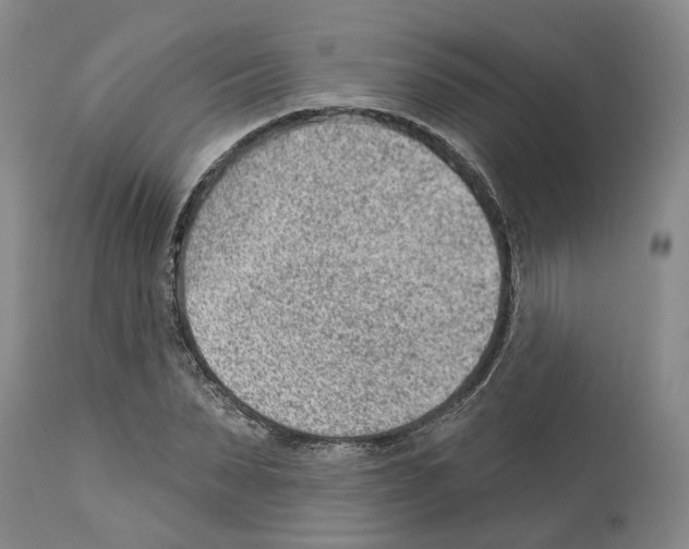 X0000112920879200910051105