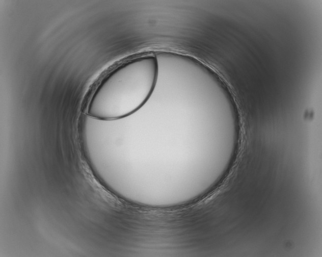 X0000112920880200910051105