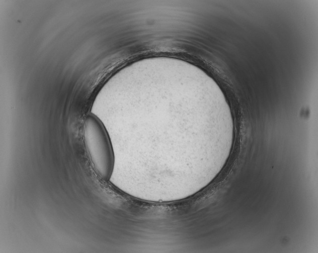 X0000112920881200910051105