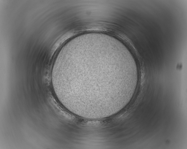X0000112920882200910051105