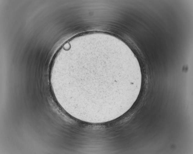 X0000112920884200910051105