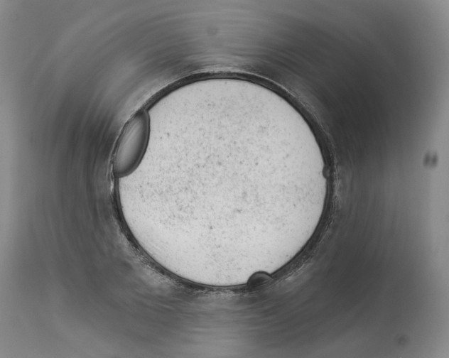 X0000112920885200910051105