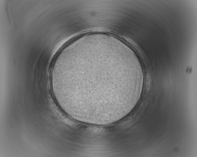 X0000112920886200910051105