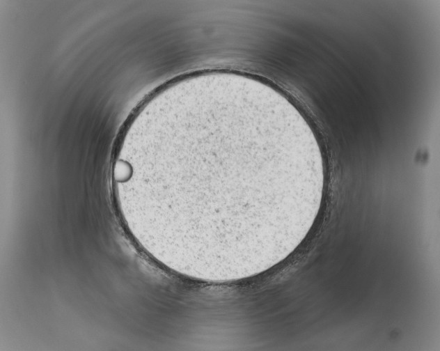 X0000112920888200910051105