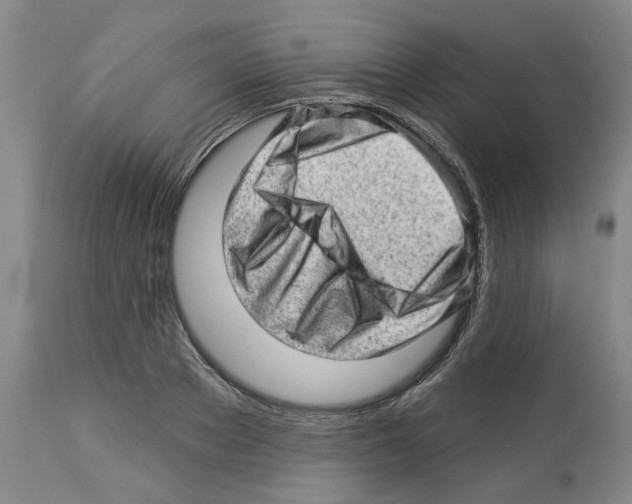 X0000112920889200910051105