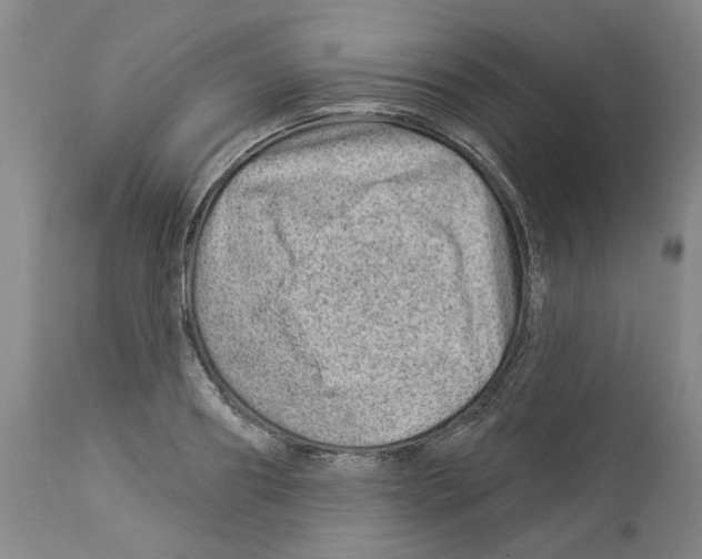 X0000112920890200910051105