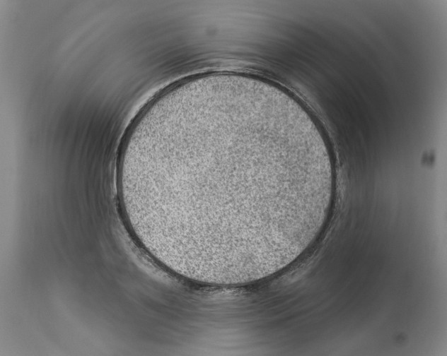 X0000112920891200910051105