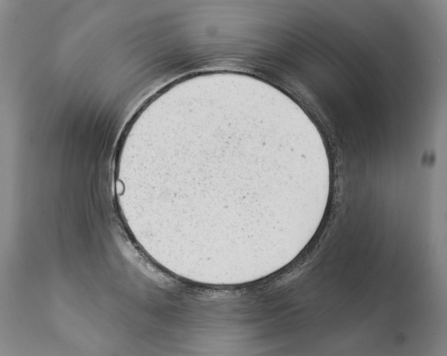 X0000112920892200910051105